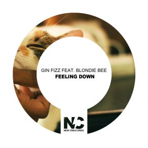 Download track Feeling Down (Nu Ground Foundation US Garage Instrumental Cut) Blondie BeeNu Ground Foundation