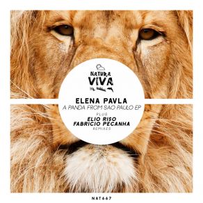 Download track Sao Paulo (Fabricio Pecanha Remix) ELENA PAVLAFabricio Pecanha