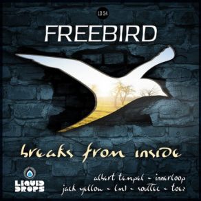 Download track No Place For Me (Original Mix) FreeBird