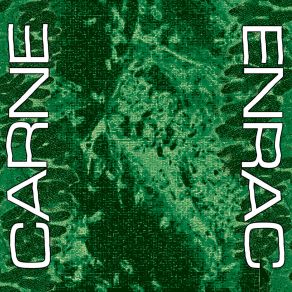 Download track Descarnada Carne