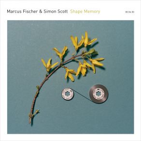 Download track Branches Marcus Fischer, Simon Scott