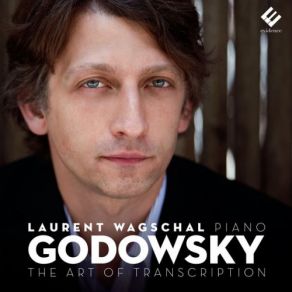 Download track Le Carnaval Des Animaux: XIII. Le Cygne (Transcribed By Godowsky) Laurent Wagschal