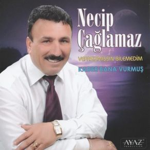 Download track Senden Haber Yok Necip Çağlamaz