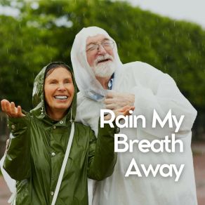 Download track Everyday Rain, Pt. 28 Rain Sounds ACE