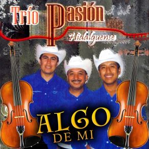 Download track Necesito Decirtelo Trio Pasion Hidalguense