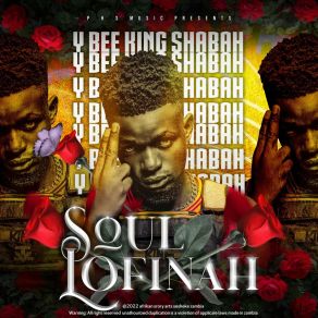 Download track Beautiful Babe Ybee King ShabahDizmo, J. O. B. Nichikali