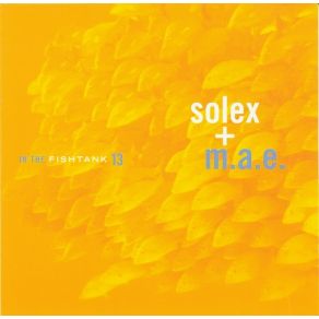 Download track Go Easy On The Fun Fund Solex, M. A. E.