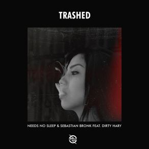 Download track Trashed Dirty Hary