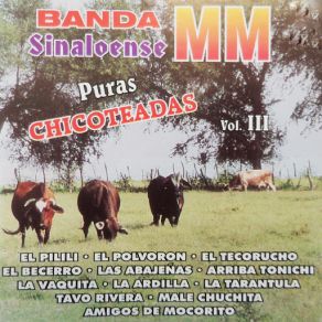 Download track El Becerro Banda Sinaloense MM