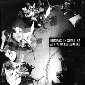 Download track Só (Ao Vivo) Gorilas De Sumatra