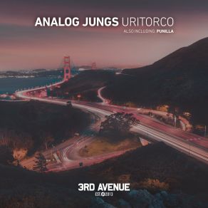 Download track Punilla Analog Jungs