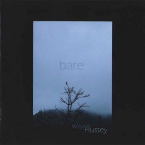 Download track Bird Of Passage Wayne Hussey, Mission