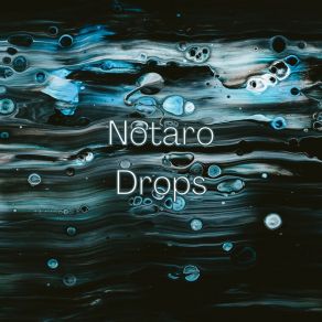 Download track Drops (Radio Edit) Notaro