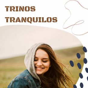 Download track Notas Relajantes Melodía Tranquila