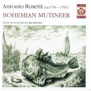 Download track 06. Concerto For Horn And Orchestra In D Minor (Murray C38). - Adagio, Soloist- Helen MacDougall Antonio Rosetti