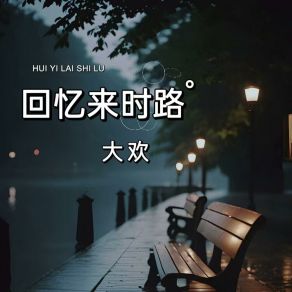 Download track 回忆来时路 (伴奏版) 大欢