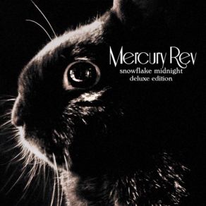 Download track Last Train To Poughkeepsie Mercury Rev