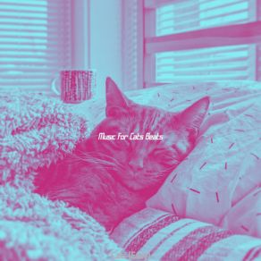 Download track Dreams - Kittens Music For Cats Beats