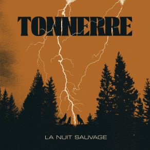 Download track L'esprit De La Forêt Tonnerre