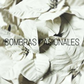 Download track Sombras Pasionales José De Los Ríos