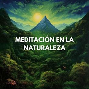 Download track Ballet De Sonido Ambiental Relajante