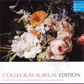 Download track III. Adagio - Presto Collegium Aureum, Regensburger Domspatzen, Ratzinger