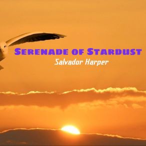 Download track Serenade Of Stardust Salvador Harper