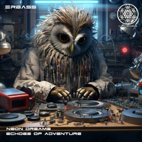 Download track Echoes Of Adventure (Original Mix) ERBass