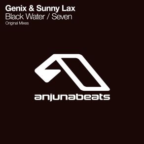 Download track Black Water (Original Mix) Sunny Lax, Genix