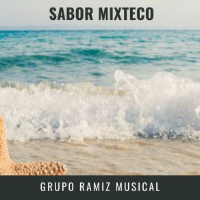 Download track Ñe Ndo Na Vei Grupo Ramiz Musical