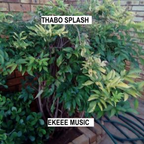 Download track Ekeee Thabo Splash Thabo Splash