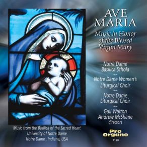 Download track Salve Regina, Op. 171 No. 3 Notre Dame Basilica ScholaNotre Dame Women's Liturgical Choir