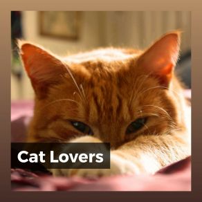 Download track Subtle Ambient Cat Music