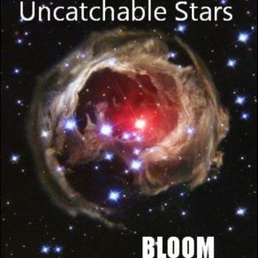 Download track Uncatchatble Stars Bloom