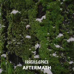 Download track Polygon Fragile Space