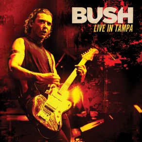 Download track The Chemicals Between Us (Live) Bush