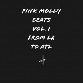 Download track Speedin PINK MOLLY