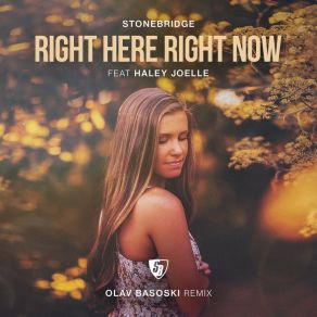 Download track Right In The Middle (Olav Basoski Remix) Haley JoelleStonebridge