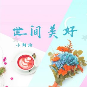 Download track 世间美好 (女声版伴奏) 小阿玲