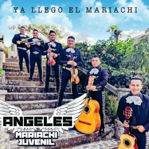 Download track Gracia Sublime Es MARIACHI JUVENIL ANGELES