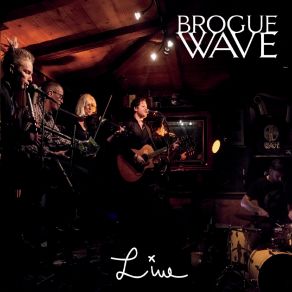 Download track Wedding Reel / Dunmore Lasses / Silver Spear (Live) Brogue Wave