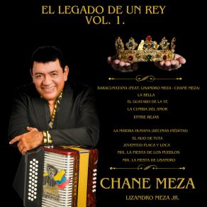 Download track La Fiesta De Los Pueblos Chane Meza (Lizandro Meza Jr.)