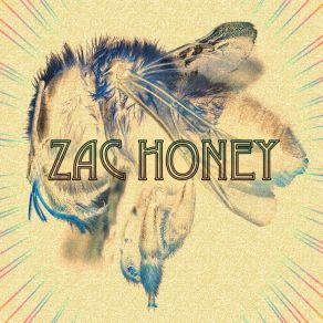 Download track Crazy For You Zac Honey