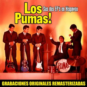 Download track Pequeña Honda Los Pumas