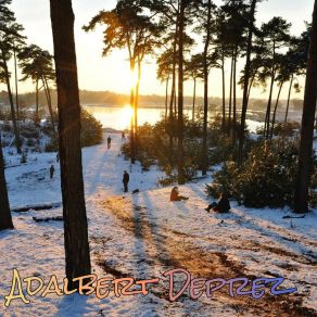 Download track Soul Wholesome Adalbert Deprez