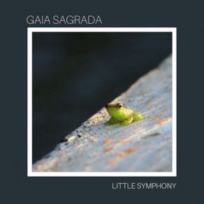 Download track Laila Little Symphony