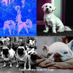 Download track Refined Moods For Separation Anxiety Easy Listening Music For Dogs