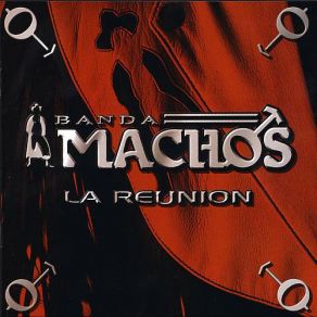 Download track Al Gato Y Al Ratón Banda MachosChicos De Barrio