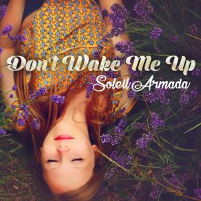 Download track Don't Wake Me Up (Instrumental Lounge Mix) Soleil Armada