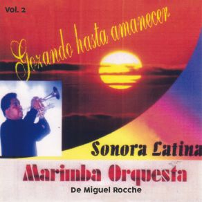 Download track Gozando Hasta Amanecer: Palomita Blanca / Cariñito De Mi Vida / El Amor No Se Vende Marimba Orquesta Sonora Latina De Miguel Rocche